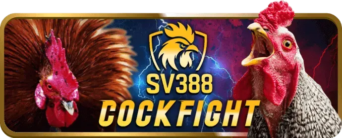 Tham gia đá gà qh8888 ngay hôm nay